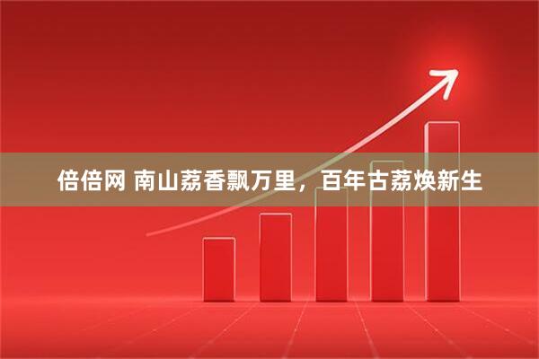 倍倍网 南山荔香飘万里，百年古荔焕新生