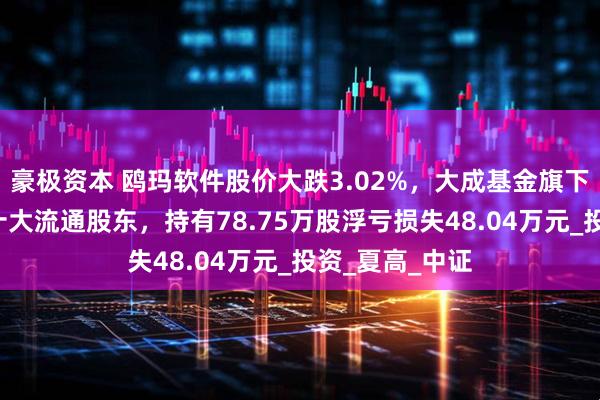 豪极资本 鸥玛软件股价大跌3.02%，大成基金旗下1只基金位居十大流通股东，持有78.75万股浮亏损失48.04万元_投资_夏高_中证