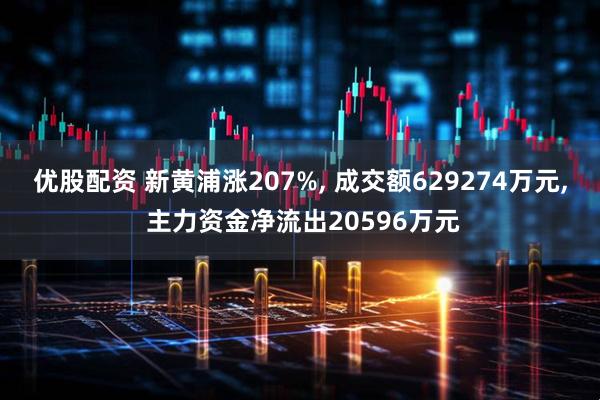 优股配资 新黄浦涨207%, 成交额629274万元, 主力资金净流出20596万元
