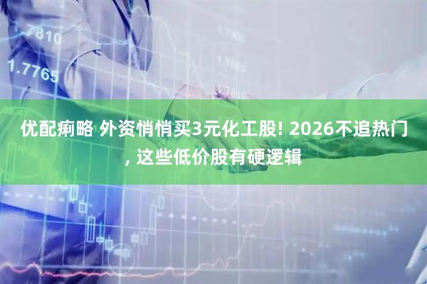 优配痢略 外资悄悄买3元化工股! 2026不追热门, 这些低价股有硬逻辑
